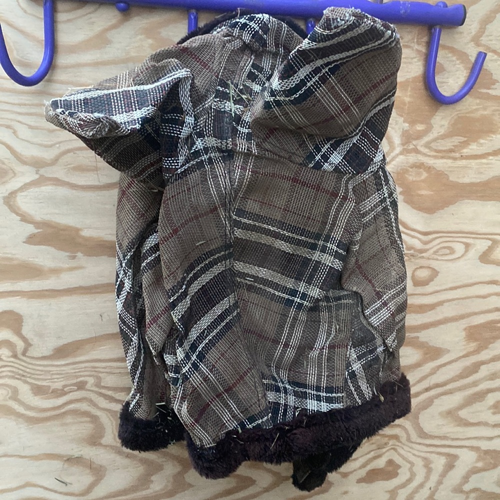 Kingston horse fly mask